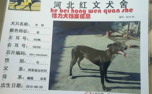 米琦 900111880204608，ASDML0620G