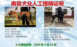 尼克斯X刺客 991001001730321.jpg