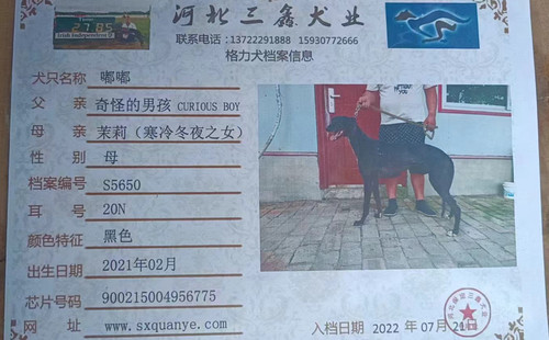 嘟嘟 900215004956775，20N