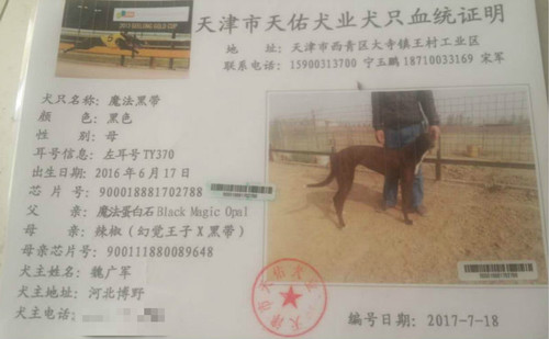 魔法黑带 TY370，900018881702788