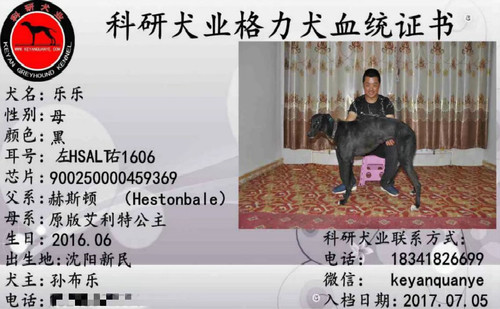 乐乐 900250000459369，HSALT1606