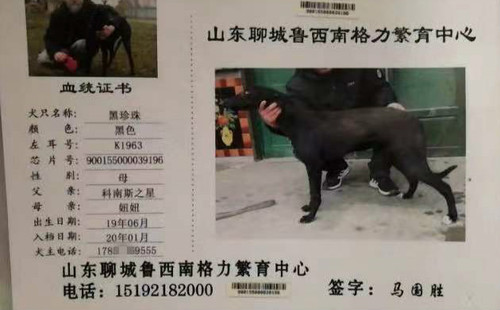 黑珍珠 900155000039196，K1963