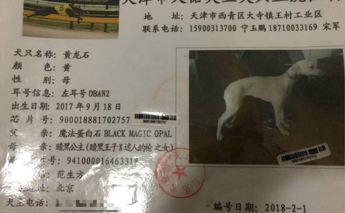 黄龙石 DBAN2，900018881702757