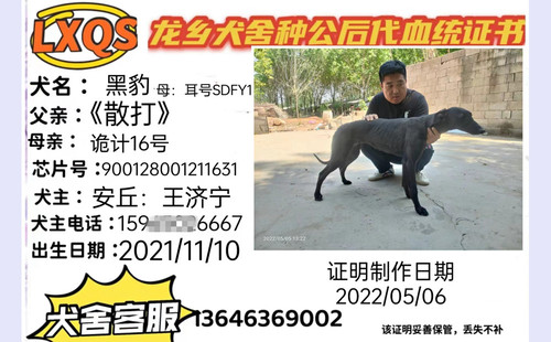 黑豹 900128001211631，SDFY1