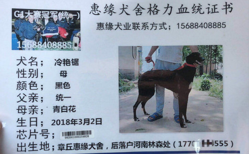 冷艳锯 992001000254828