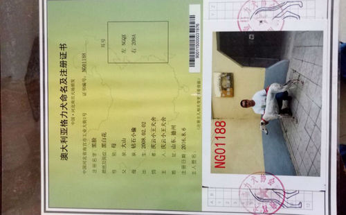 黑脸 900115000031976，941000015047216，NGQX208A