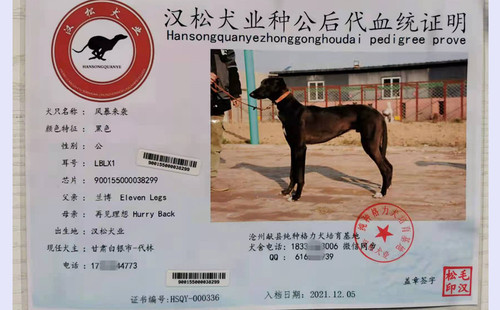 风暴来袭 900155000038299，LBLX1