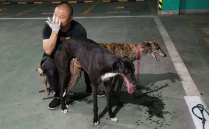 冲击波X蝎子尾 900115000929502.jpg