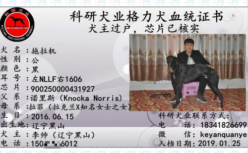 拖拉机 900250000431927，NLLF1606，黑二号