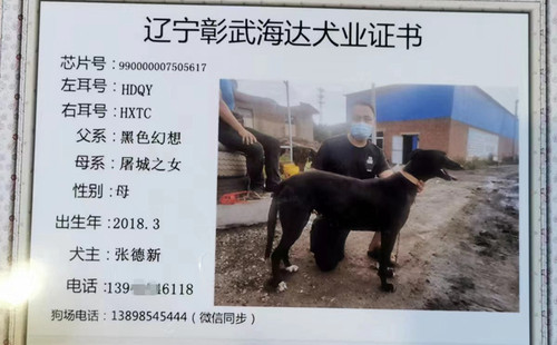 黑狼 990000007505617