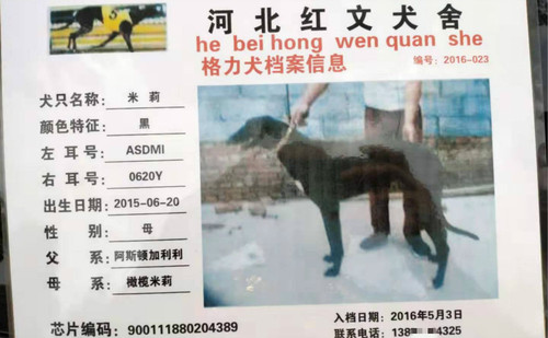 米莉 ASDMI 0620Y，900111880204389