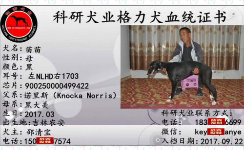 苗苗 900250000499422，NLHD1703