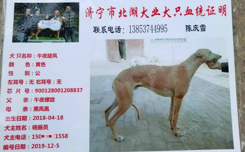 午夜旋风 900128001208837