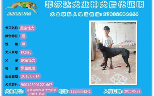 黑宝怪力 900128001221667，FEDGL