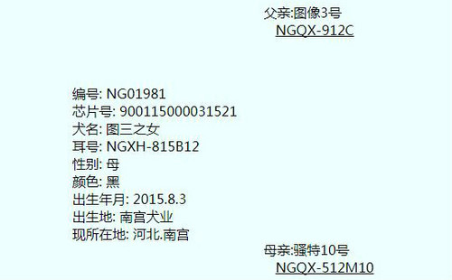 图三仔 NGXH 815B，900115000031521