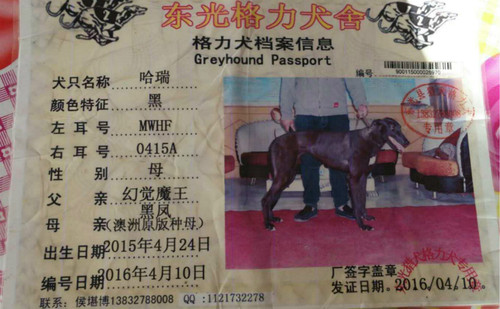 哈瑞 MWHF 0415A，900115000026970