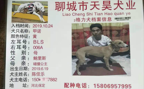 甲诺 900155000037358，BLS006A