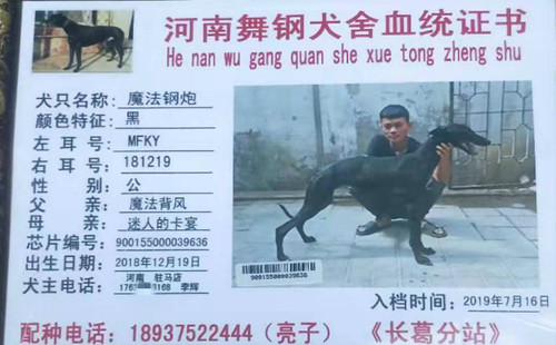 魔法钢炮 900155000039636，MFKY181219