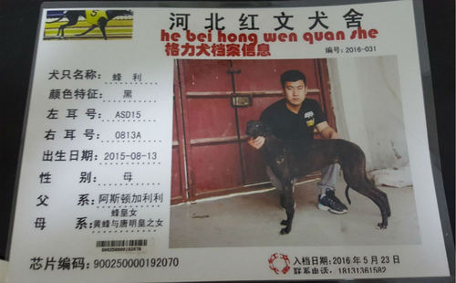 蜂利 ASD15 0813A，900250000192070