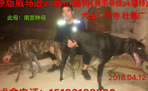 威马逊X表示骚特900115000929162，NGXH911A.jpg