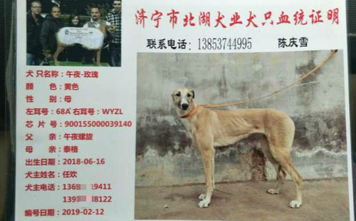 午夜玫瑰 WYZL 68A，900155000039140