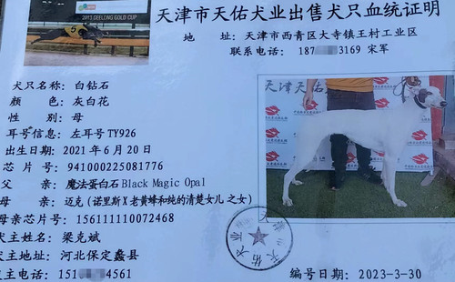 白钻石 941000225081776，TY926