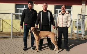 美国皇 Atascocita Hawk,124B 65573,音译:阿塔斯雄鹰.jpg