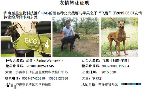 飞鹰 900250000115694
