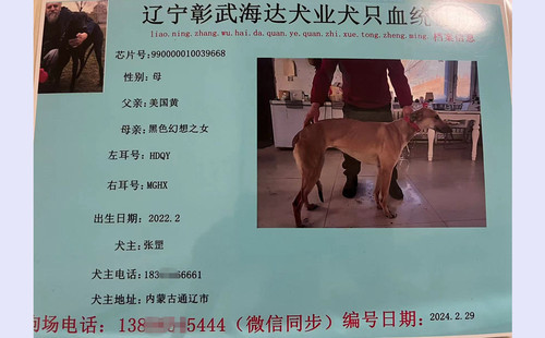 多吉 990000010039668，HDQYMGHX