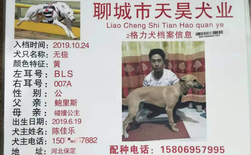 无极 90155000037357，BLS007A