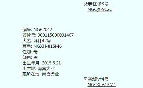 诡计42号 NGXH 815M，900115000031467