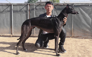 大驴900115000989828.jpg
