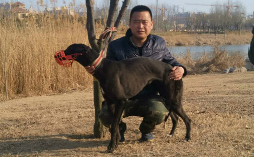 迷人的怪胎 MRAD 1612A，900155000005976