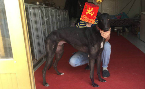 是的我是 Yes I Am，RHZQP，972274000357661