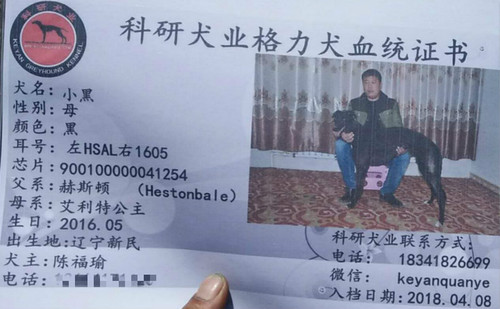 小黑 900100000041254，HSAL1605