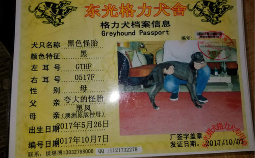 黑色怪胎 900010099008189，GTHF0517F