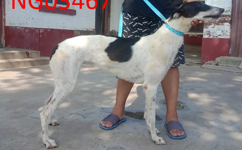 云朵 900115000929550，NGXH319AM9