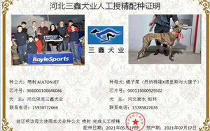 喷射X蝎子尾 900115000929502.jpg