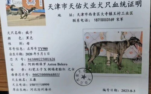 疯子 941000225081626，TY980