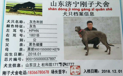 灰色利剑 HPHN 1801B，900155000037897