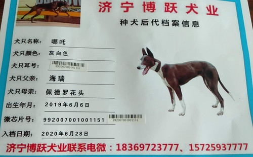 哪吒 992007001001151