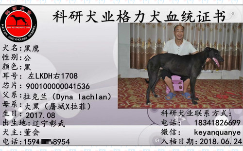 黑鹰 900100000041536，LKDH1708