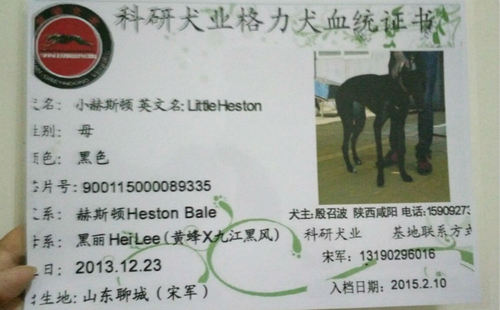 小赫斯顿 900115000089335