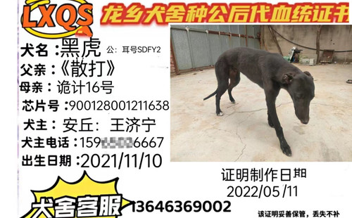 黑虎 900128001211638，SDFY2
