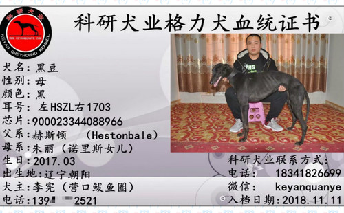 黑豆 900023344088966，HSZL1703