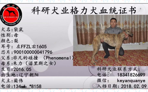 袋鼠 900100000041796，FFZL1605