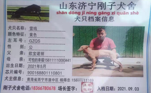 雷鸣 900168801110801，GZQS