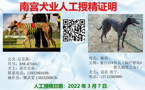 尼克斯X独苗 DBF21，900250000274607.jpg