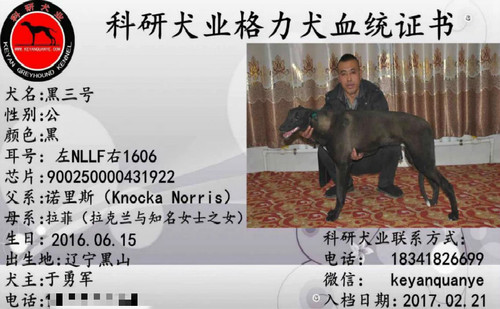 黑三号 900250000431922，NLLF1606
