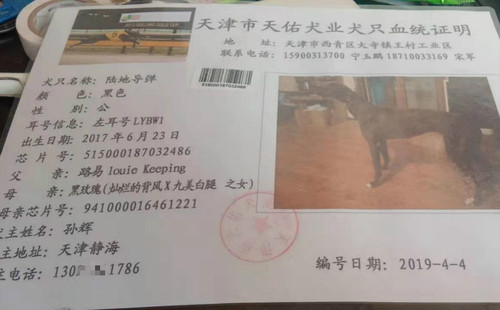 陆地导弹 LYBW1，515000187032486